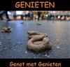 escuchar en línea Genieten - Genot Met Genieten Demo 2013