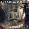 kuunnella verkossa DFrek, Sefa & Dr Peacock - Shambala EP