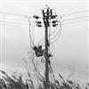 ladda ner album Field Recordings - 20kv Cables And Telephone Wires In High Wind 29112015