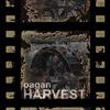 Pagan Harvest - Pagan harvest