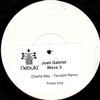 last ned album Josh Gabriel - Wave 3 Charlie May Tsunami Remix