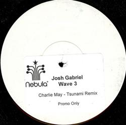 Download Josh Gabriel - Wave 3 Charlie May Tsunami Remix