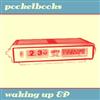 ladda ner album Pocketbooks - Waking Up