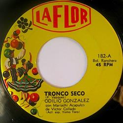 Download Odilio González - Tronco Seo