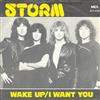 ladda ner album Storm - Wake Up