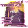 télécharger l'album staplerfahrer - Transcendental Wound