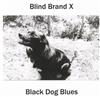 lataa albumi Blind Brand X - Black Dog Blues