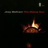 Album herunterladen Joey Beltram - The Rising Sun