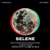 descargar álbum Richard Rich & Max Tannone - Selene