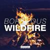 online anhören Borgeous - Wildfire