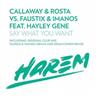 Album herunterladen Callaway & Rosta Vs Faustix & ImanoS Feat Hayley Gene - Say What You Want