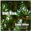 lataa albumi Unit Blue - Costa Latina Dom Paradise Remixes