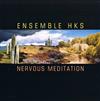 descargar álbum Ensemble HKS - Nervous Meditation