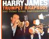 Harry James - Trumpet Rhapsody And Other Great Instrumentals