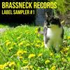 online luisteren Various - Brassneck Records Label Sampler 1