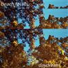 online luisteren Beach Fossils - Daydream